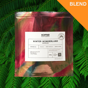 X Winter Wonderland - espresso