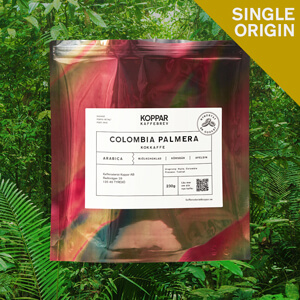 X Colombia Palmera – kokkaffe