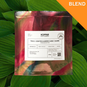 TRÍO CENTROAMERICANO DARK – presskaffe